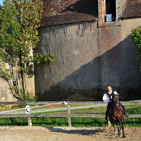 Chateau Des Noces Bazoges-en-Pareds Bagian luar foto