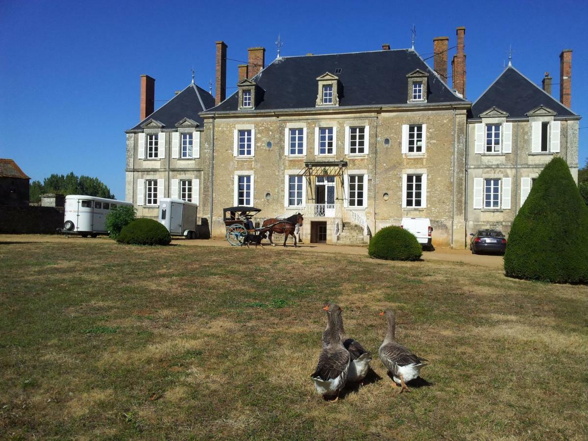 Chateau Des Noces Bazoges-en-Pareds Bagian luar foto